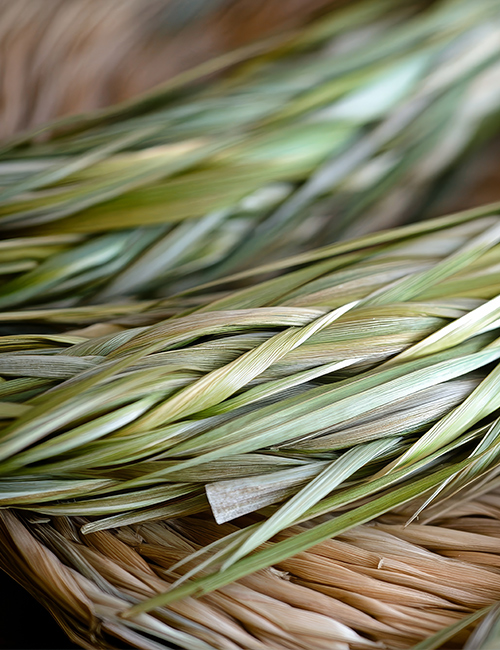 foundation-sweetgrass foundation sweetgrass